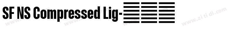 SF NS Compressed Lig字体转换